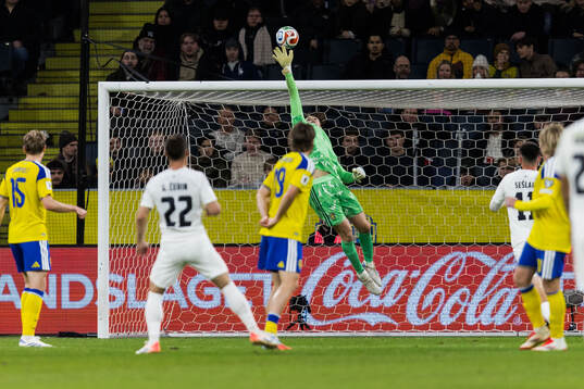 Goalkeeper Jacob Widell Zetterström of Sweden