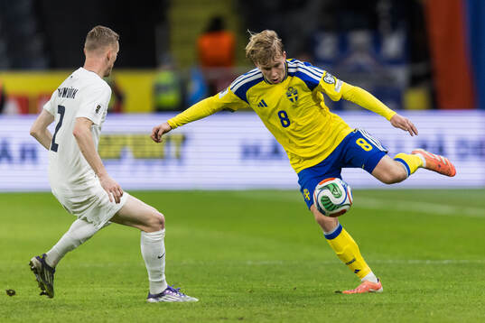 Zan Karnicnik of Slovenia and Daniel Svensson of Sweden
