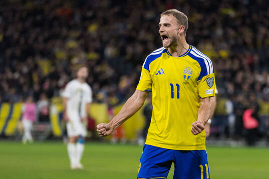 Bläddra bland fler bilder av Football, FIFA World Cup Qualifier, Sweden - Slovenia