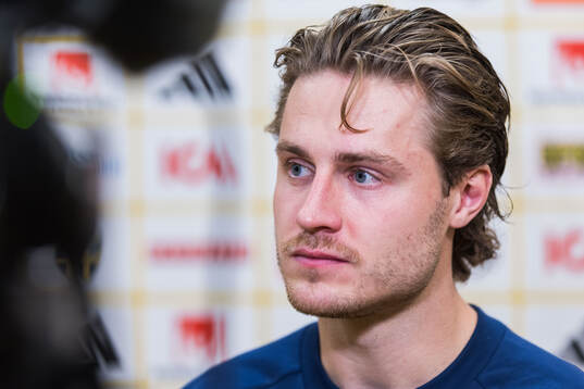 Mattias Svanberg of Sweden in mixed zone