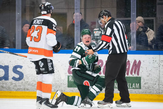 Karlskrona HKs Hugo Wendt, Tingsryds AIFs Valdemar