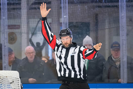 Domare Jim Bergqvist