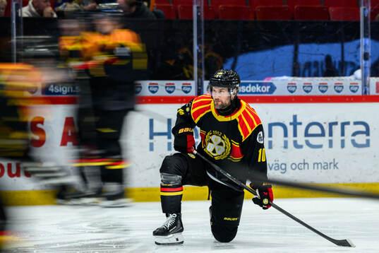 Brynäs Johan Larsson