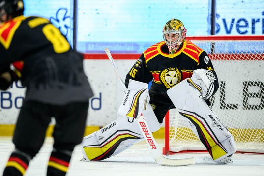 Brynäs målvakt Damian Clara