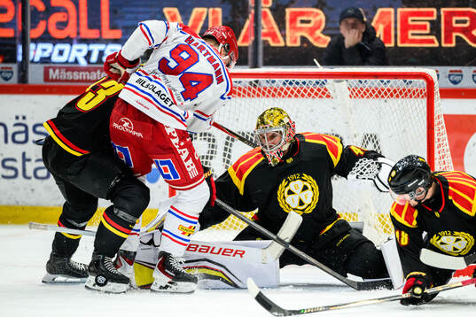 Brynäs målvakt Damian Clara