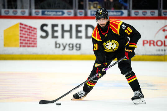 Brynäs Tyler Vesel