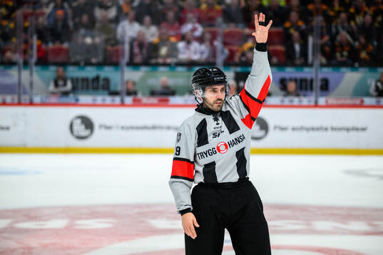 Domare Mattias Enroth
