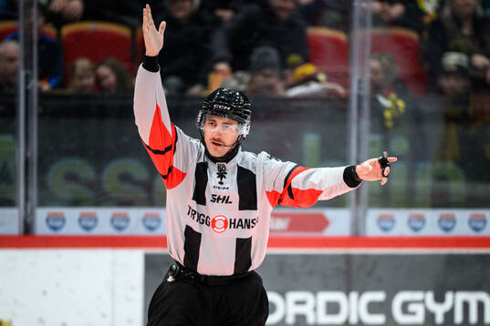 Domare Kristoffer Folkstrand