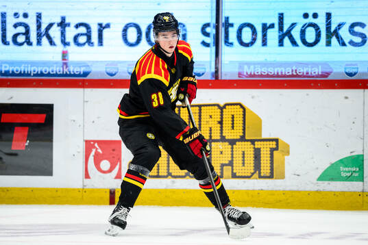 Brynäs Gustav Hillström