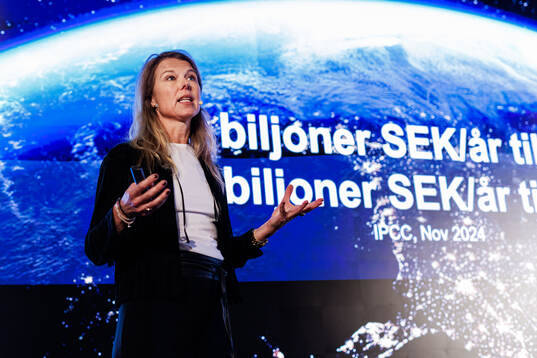 Linda Mannerby, Senior Manager Sustainable Business