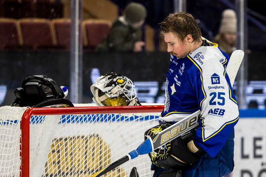 Leksands målvakt Robin Christoffersson deppar