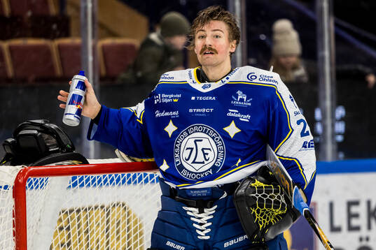 Leksands målvakt Robin Christoffersson