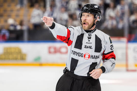 Domare Tobias Björk