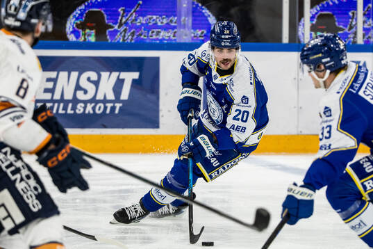 Leksands Nolan Stevens