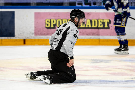 Linjedomare Daniel Persson