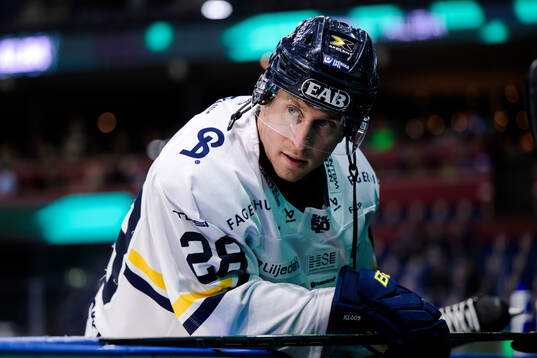 HV71s Justin Glenn Kloos