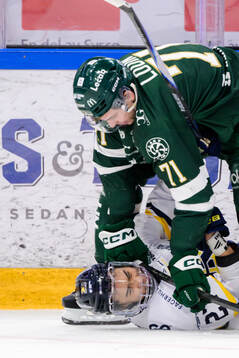 Färjestads Viktor Lodin och HV71s Jonathan Ang