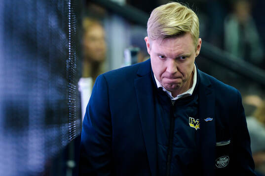 HV71s tränare Anton Blomqvist