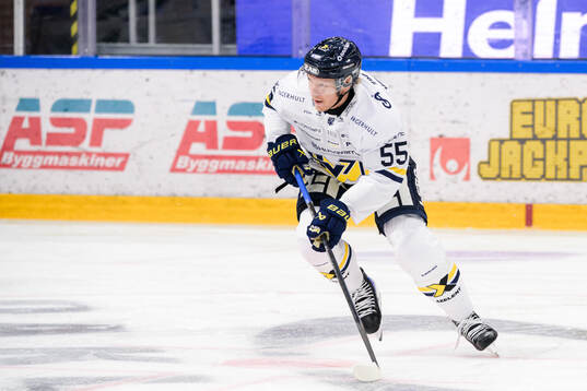 HV71s Andreas Borgman