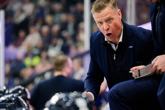 HV71s assisterande tränare Nicklas Rahm