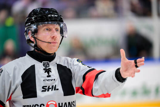 Domare Mikael Holm