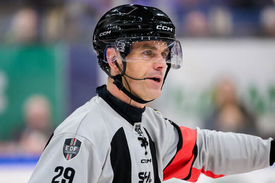 Domare Richard Magnusson