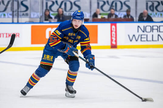 Djurgårdens David Blomgren
