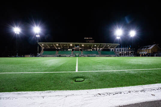 Hammarby IP