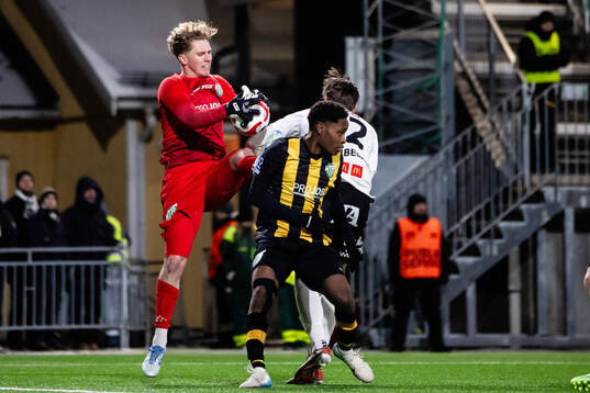 Hammarby TFFs målvakt Amar Dzevlan