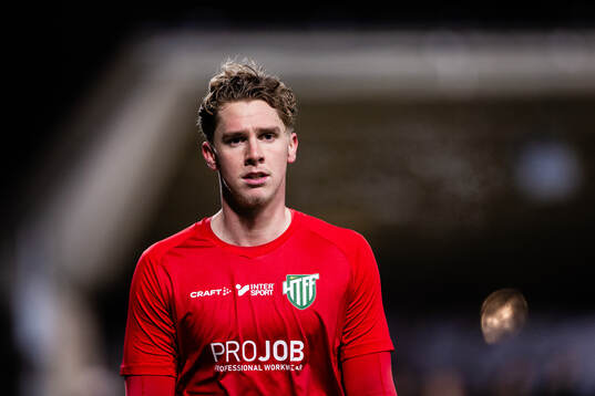 Hammarby TFFs målvakt Amar Dzevlan