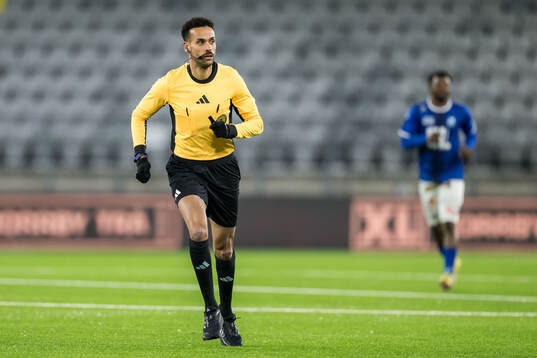 Domare Farouk Nehdi
