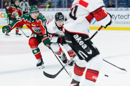 Frölundas Theodor Niederbach och Malmö Redhawks Petter