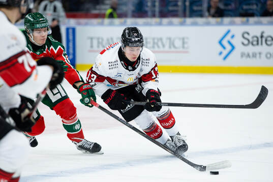 Frölundas Theodor Niederbach and Malmö Redhawks Petter