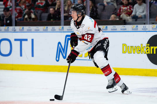 Malmö Redhawks Robin Salo