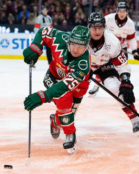 Frölundas Arttu Ruotsalainen och Malmö Redhawks Fredrik