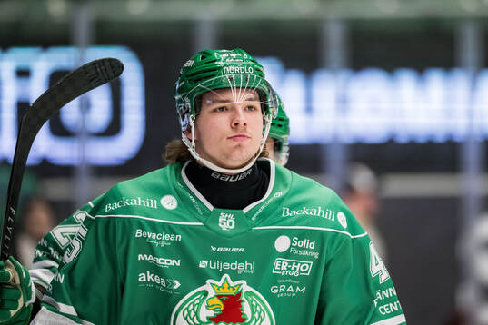 Rögles Gregor Biber