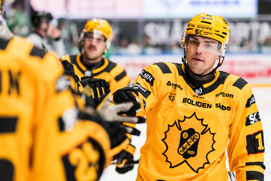 Skellefteås Andreas Johnson jublar