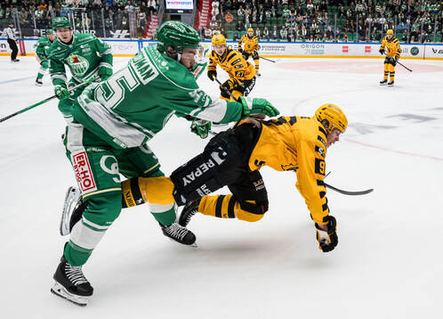 Rögles Mark Friedman och Skellefteås Rickard Hugg