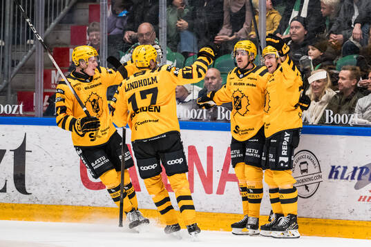 Skellefteås Andreas Johnson jublar