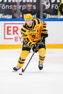 Skellefteås Jonathan Pudas