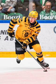 Skellefteås Valter Lindberg