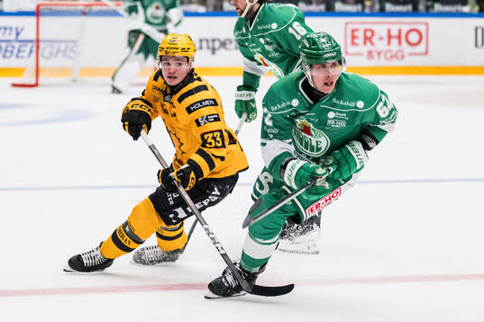 Skellefteås Zeb Forsfjäll och Rögles Lubos Horky