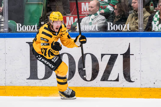 Skellefteås Jonathan Pudas jublar