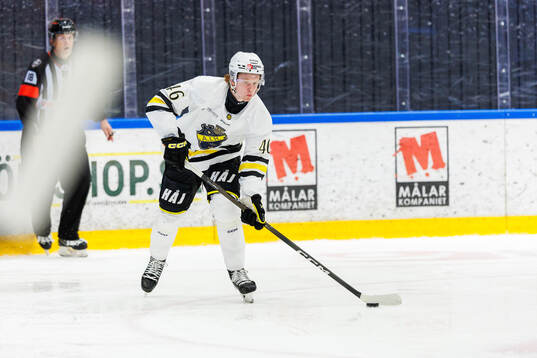 AIKs Viggo Gustafsson