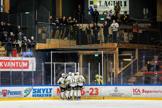 AIKs spelare jublar