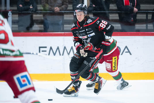 Nybro Vikings Tim Lindfors