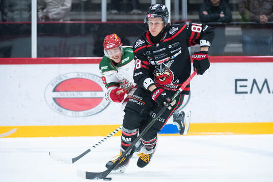 Nybro Vikings Tim Lindfors