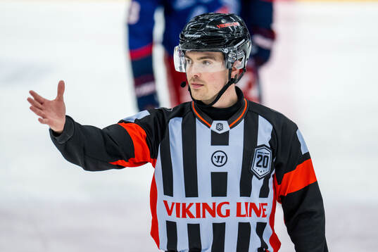 Domare Filip Eriksson