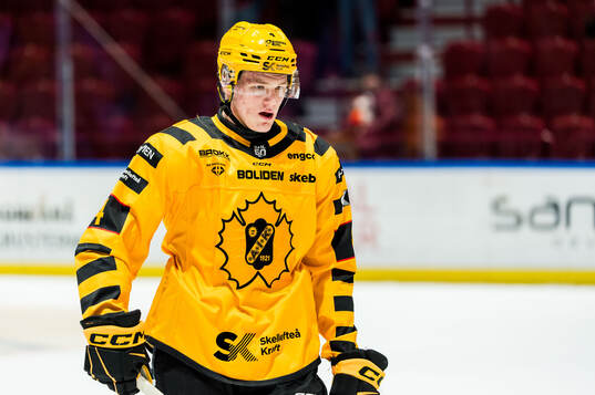 Skellefteås Rasmus Bergqvist