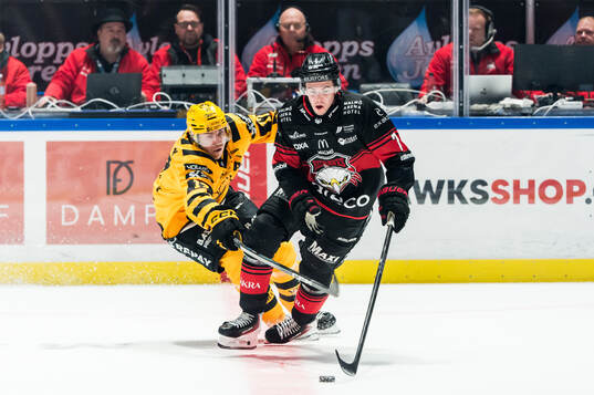 Skellefteås Pär Lindholm och Malmö Redhawks Topi Niemelä